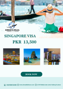 SINGAPORE VISA